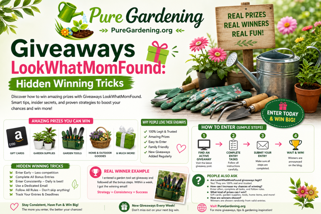 Giveaways LookWhatMomFound: Hidden Winning Tricks