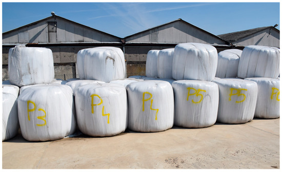 Silage Film Manufacturer: Why Film Quality Matters in Modern Forage Storage Silage Film Manufacturer: Why Film Quality Matters in Modern Forage Storage