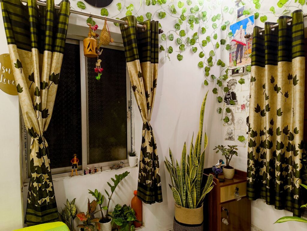 Low light indoor plants styled in a dim corner